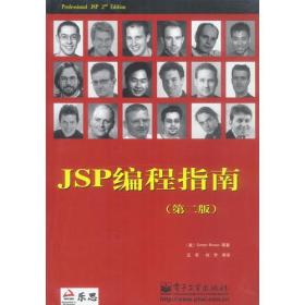 JSP编程指南(第二版)