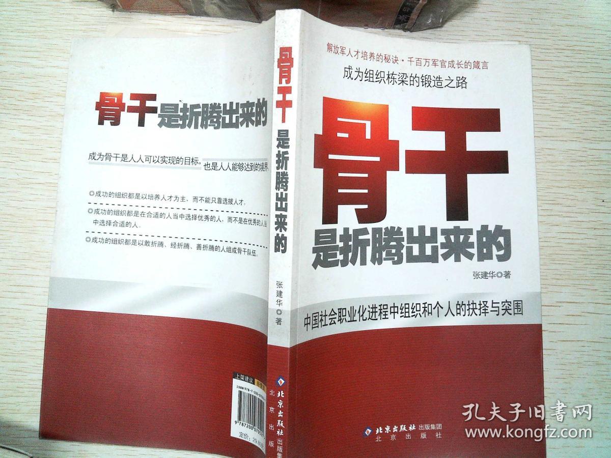 (正版库存书)骨干是折腾出来的:中国社会职业化进程中组织和个人的