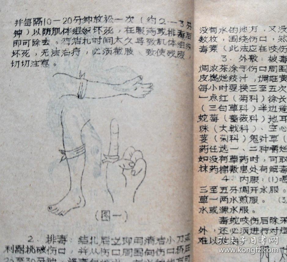 银环蛇,眼镜蛇,五步蛇等咬伤及验方;蛇伤附方;狂狗病的中草药验方
