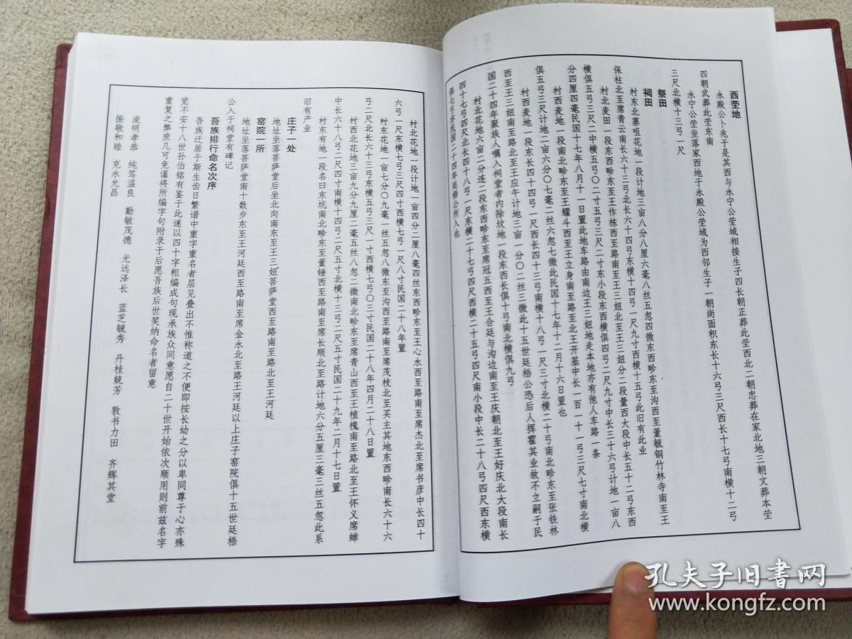 孔网203,王氏家谱2本合售