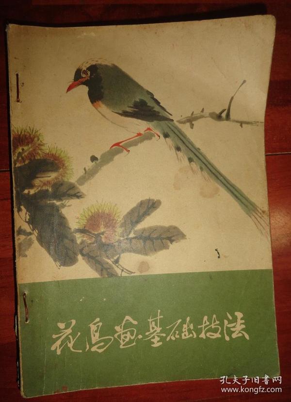花鸟画基础技法,中国画的构面,写意花鸟画构图浅说,花鸟画技法问答