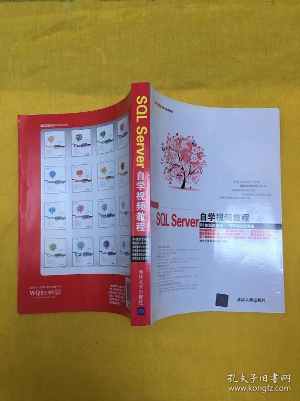 软件开发自学视频教程