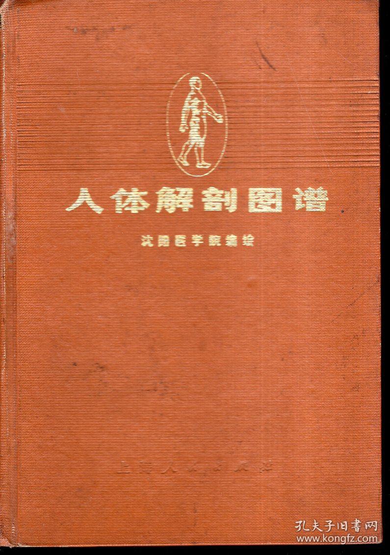 人体解刨图谱.普及本