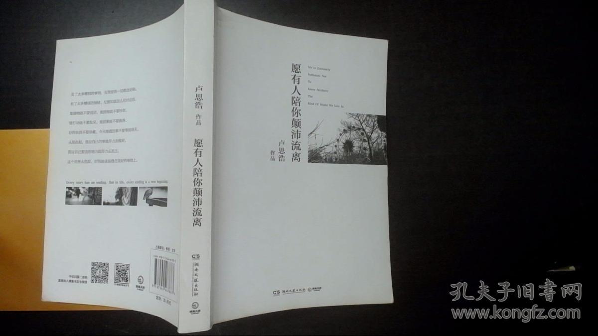 愿有人陪你颠沛流离