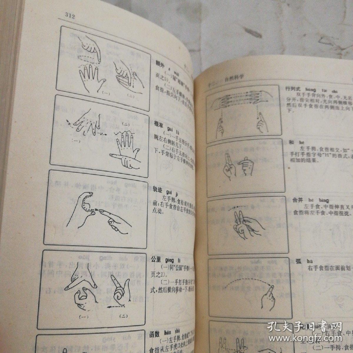 中国手语:续集