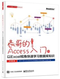 表哥的Access入门：以Excel视角快速学习数据库知识