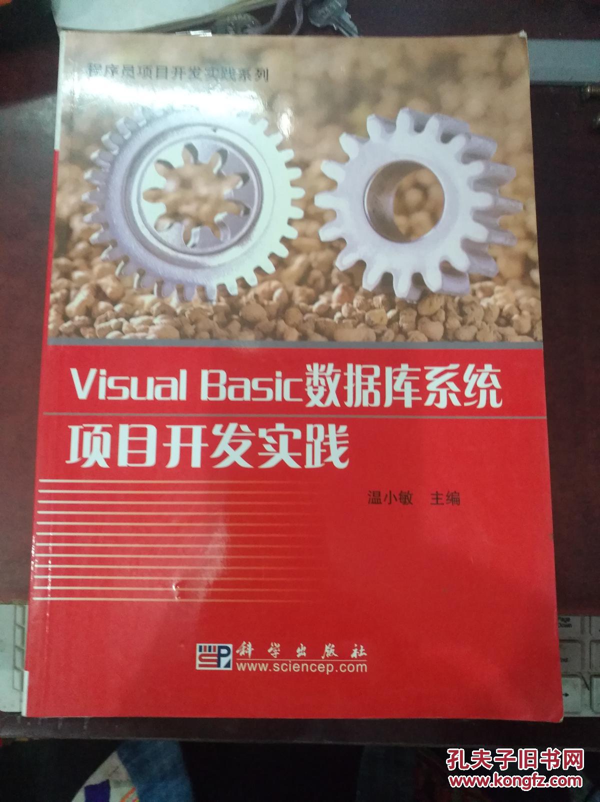 Visual Basic数据库系统项目开发实践--程序员