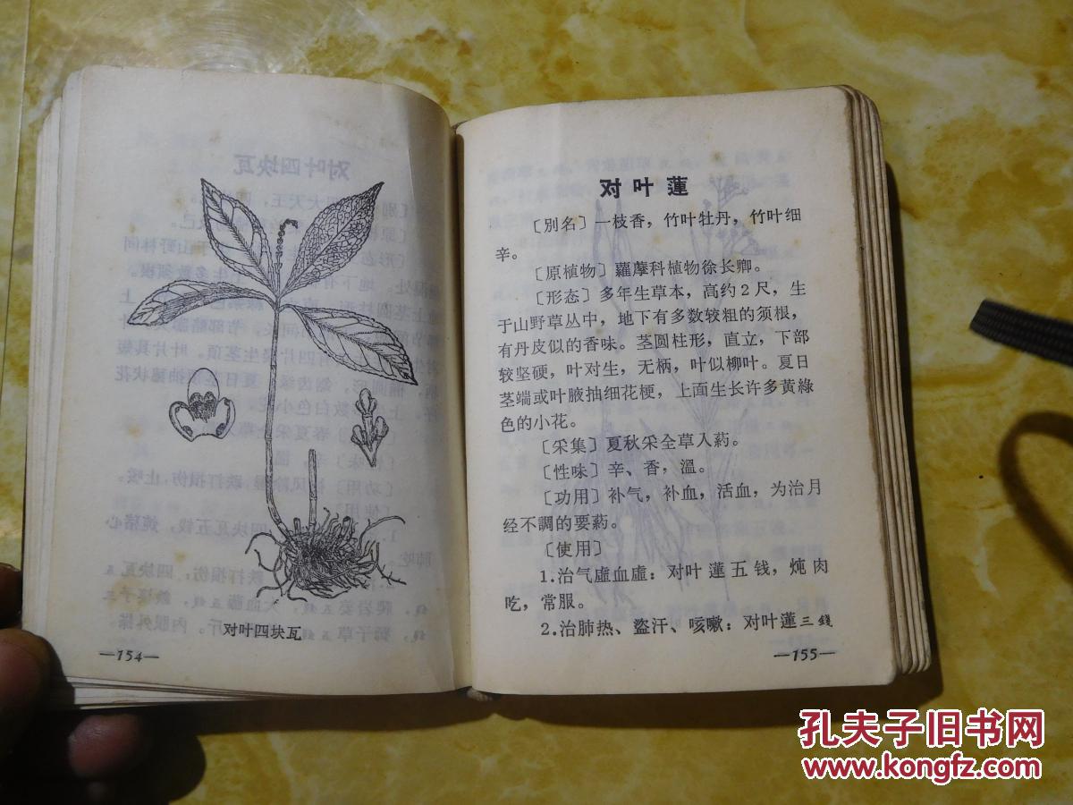 常用民间草药手册
