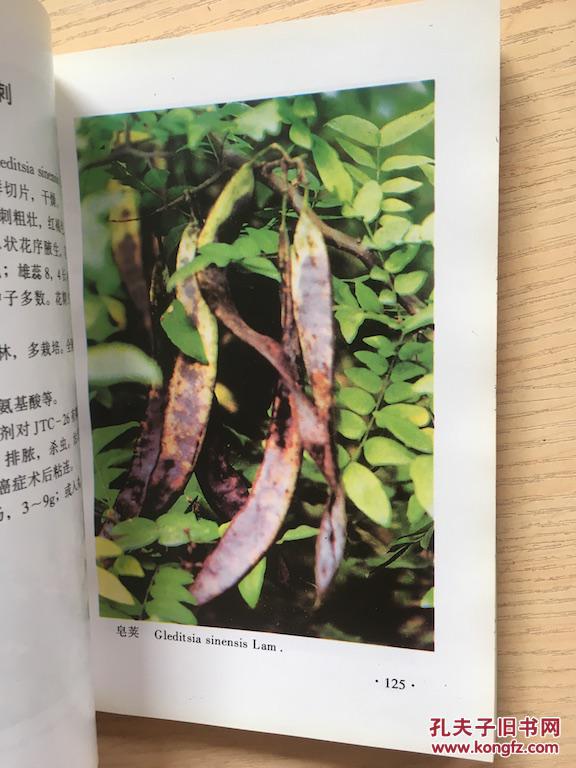 【图】抗癌中草药彩色图谱 k1.12_中国医药出