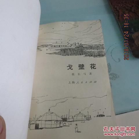 壁花曲谱_壁花少年(2)