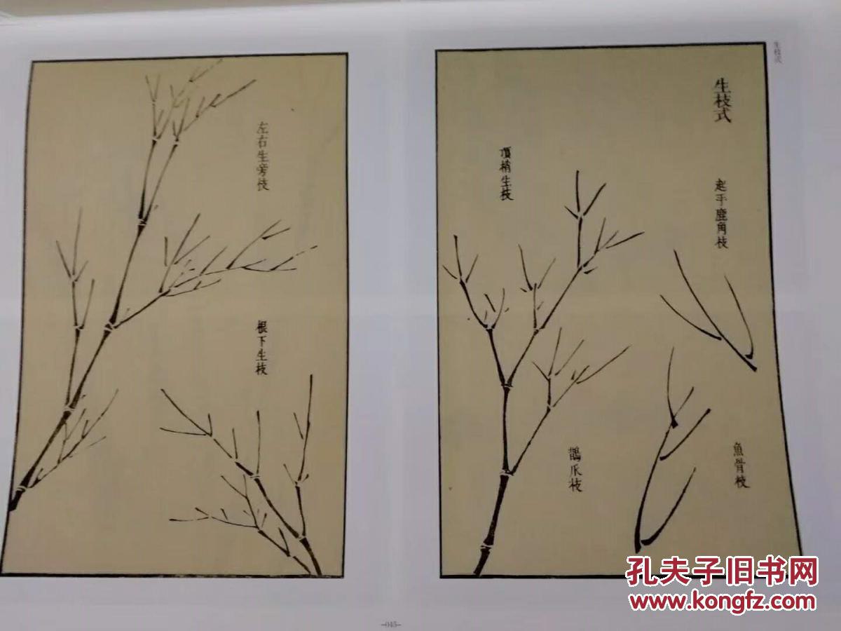 芥子园画传图释竹谱