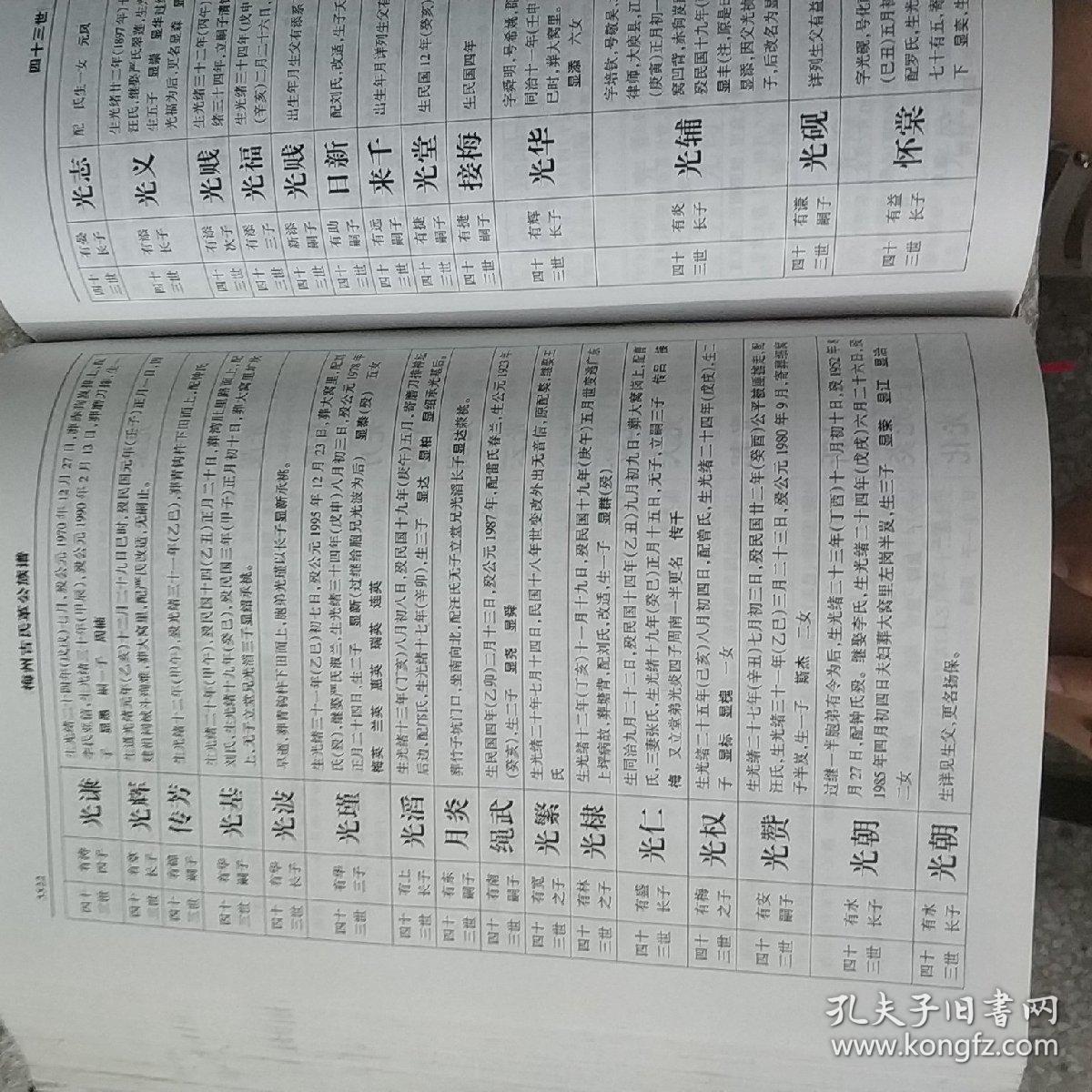 古氏族谱t2