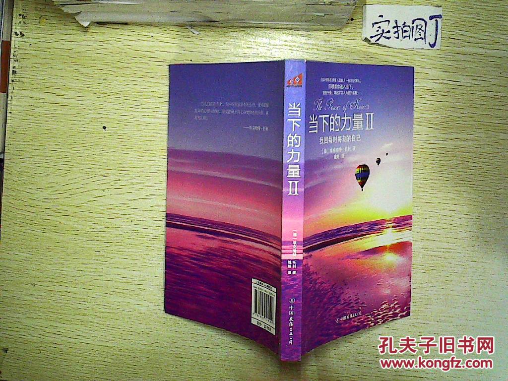 [德]埃克哈特·托利 著,康耀南 绘,魏
