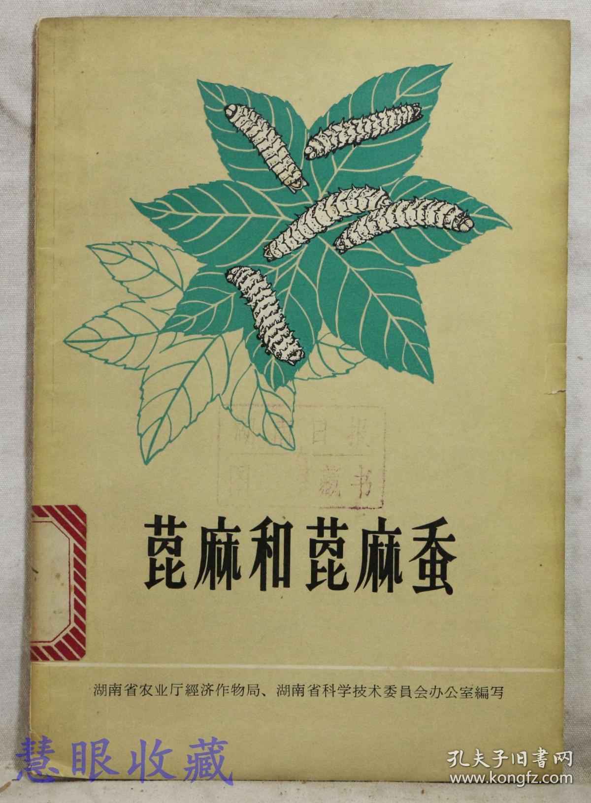 蓖麻和蓖麻蚕湖南省农业厅经济作物局湖南省科学技术委员会办公室编写
