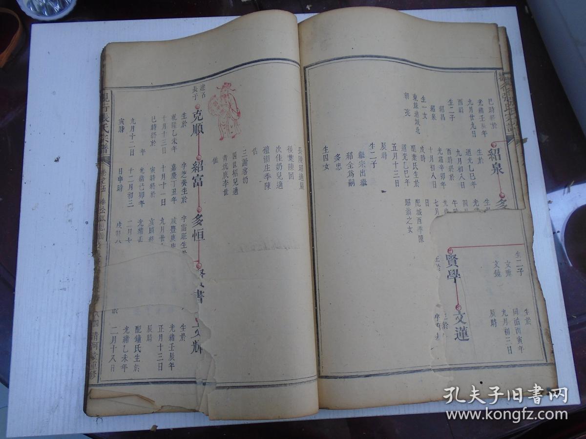 光绪二十二年岁次丙申仲冬月辑《观行张氏宗谱》卷之五(珂公派下纲