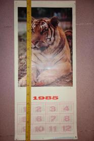 1985年年历画，虎