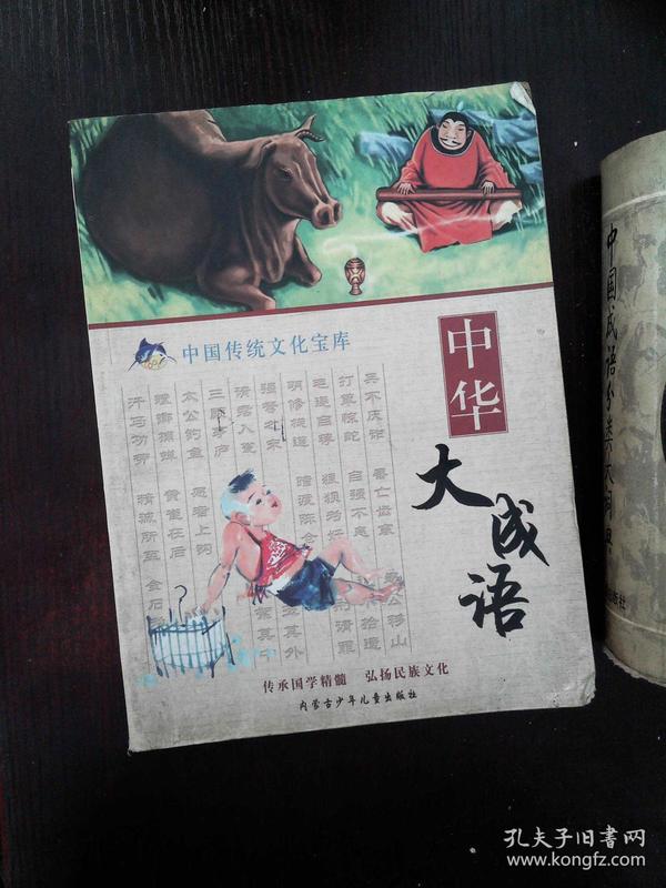 大中什么什么成语_成语故事图片
