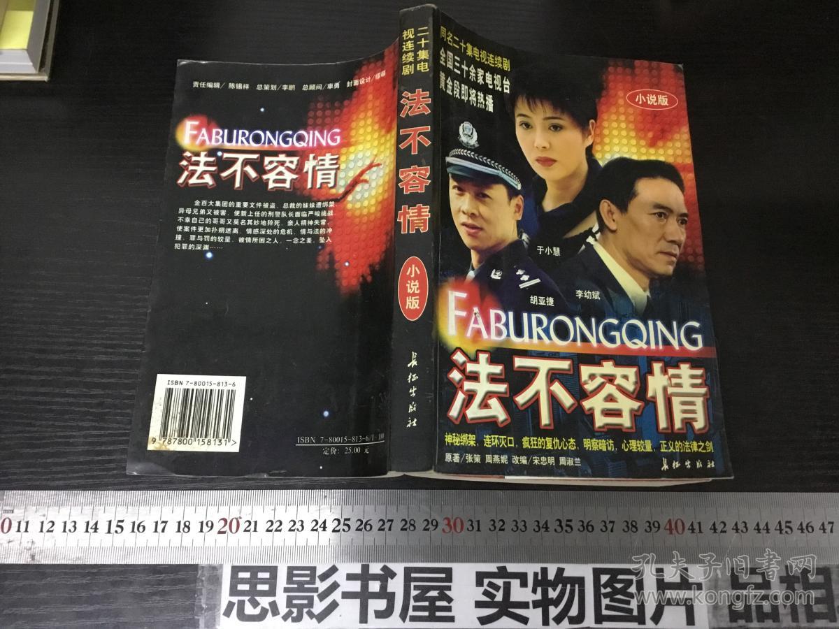 法不容情(小说版)(二十集电视连续剧)