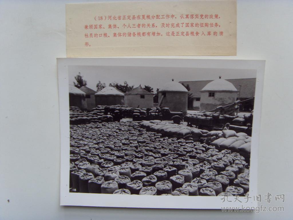 老照片:【※1972年,黑龙江大兴安岭翠岗林场,女青年伐木工在森林,奔向