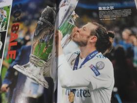 2018世界杯观战指南直通莫斯科+足球周刊 20