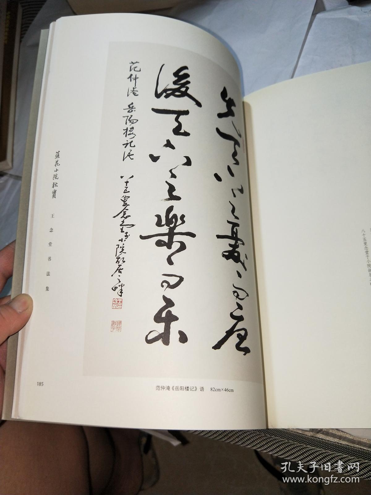 蕉花小院秋实:王念堂书法集