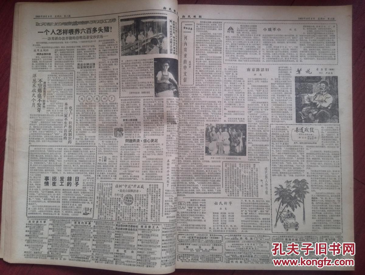 202020月一日全国人口_人口普查(3)