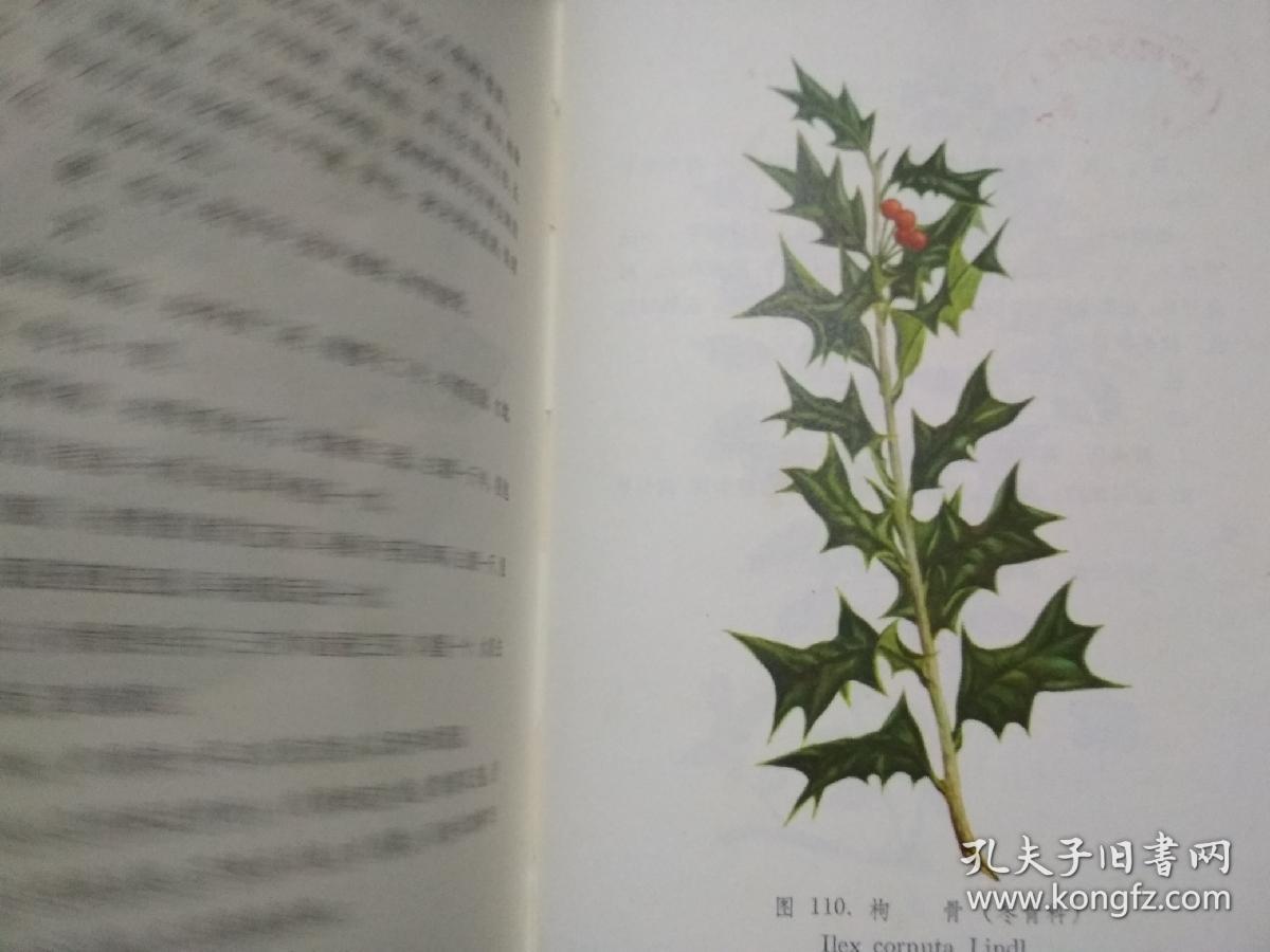 江西草药