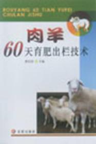 肉羊60天育肥出栏技术