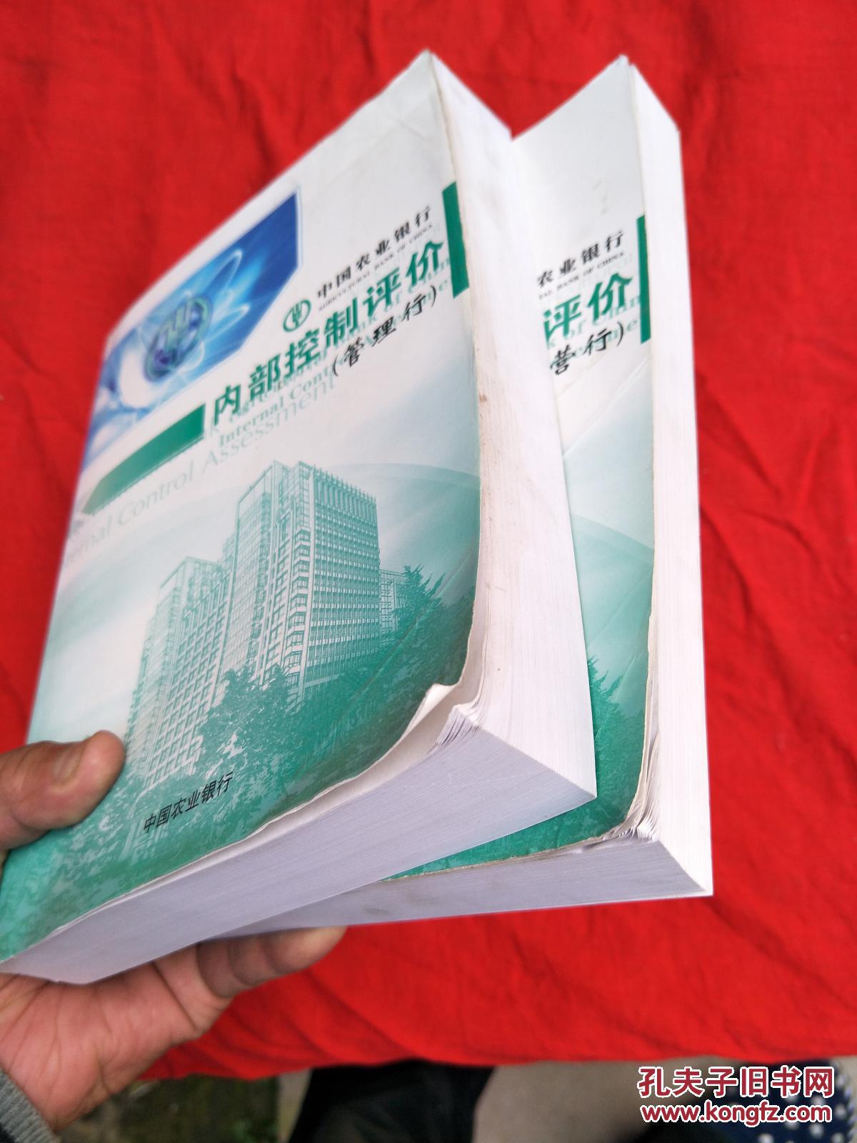 中国农业银行内部控制评价(管理行.经营行两本