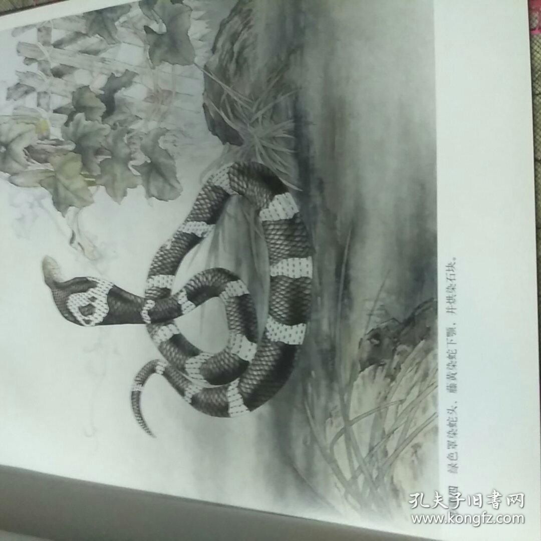 中国工笔画2:十二生肖画法