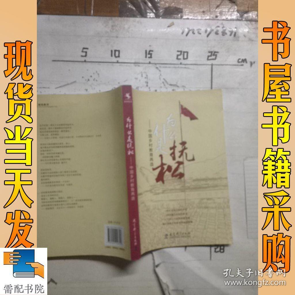 为什么是抚松:中国乡村教育再造