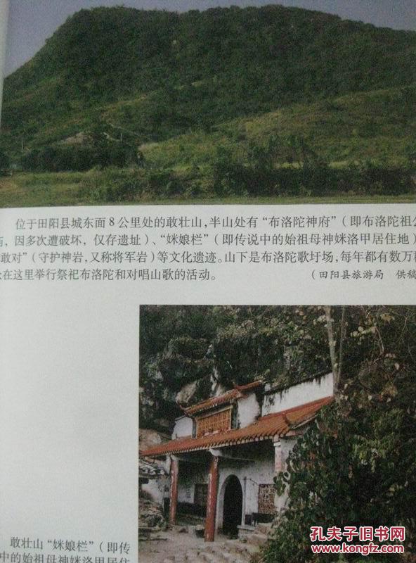 布洛陀寻踪 广西田阳敢壮山布洛陀文化考察与研究 2004年1版1印 包邮
