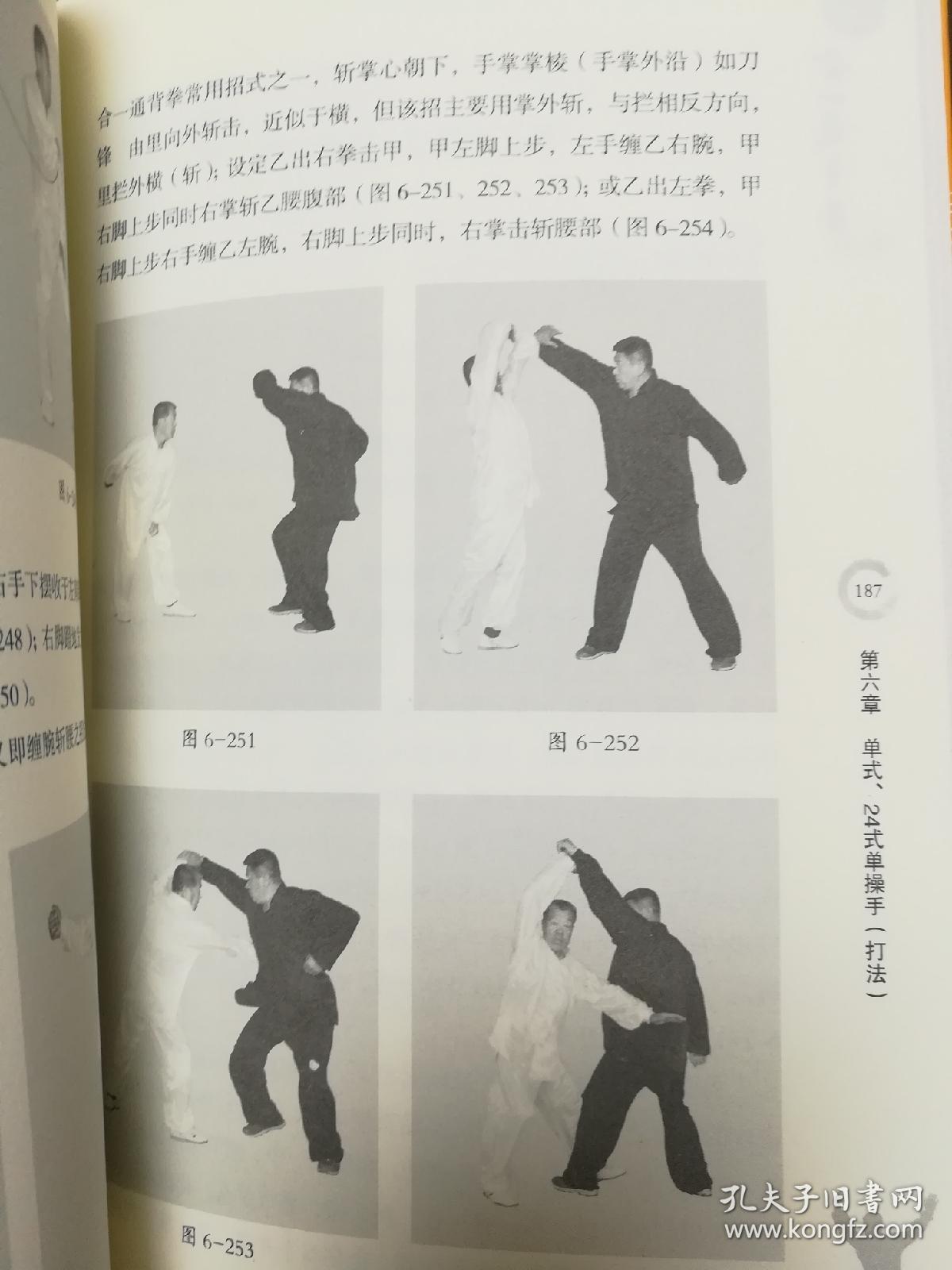 合一通背拳修订版