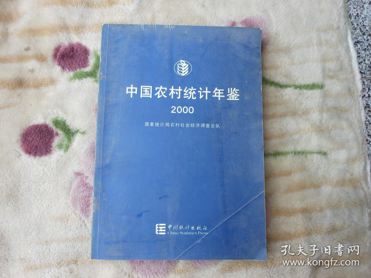 中国农村统计年鉴2000