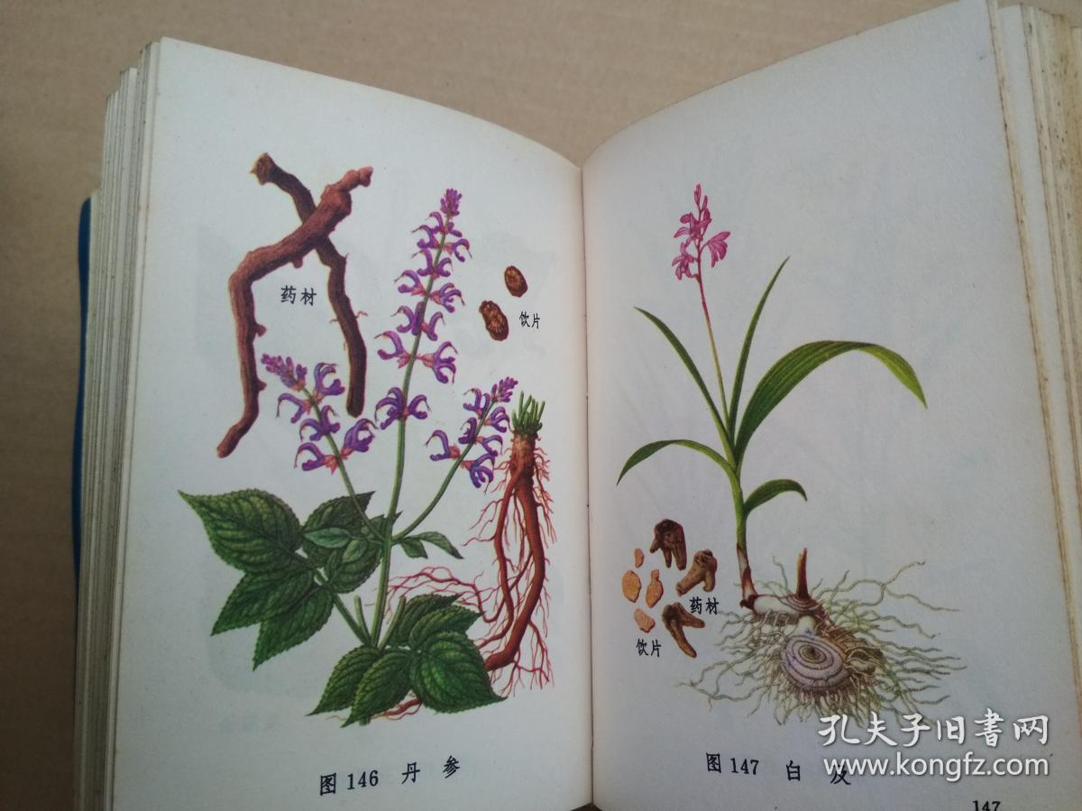 《福建中草药,第一册》《常用中草药图谱 》《常用中草药手册》三本合