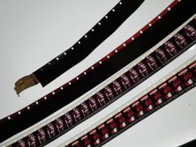 《十五块金牌》第23届洛杉矶奥运会 1984年新