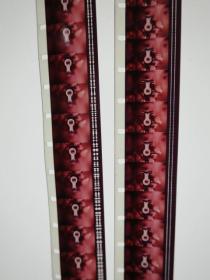 《十五块金牌》第23届洛杉矶奥运会 1984年新