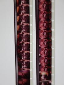 《十五块金牌》第23届洛杉矶奥运会 1984年新