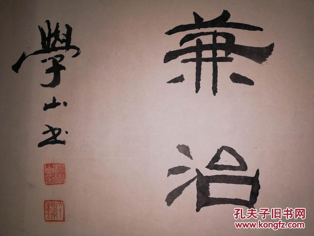 手书真迹书法:杨学山隶书《行气通脉标本兼治》镜心