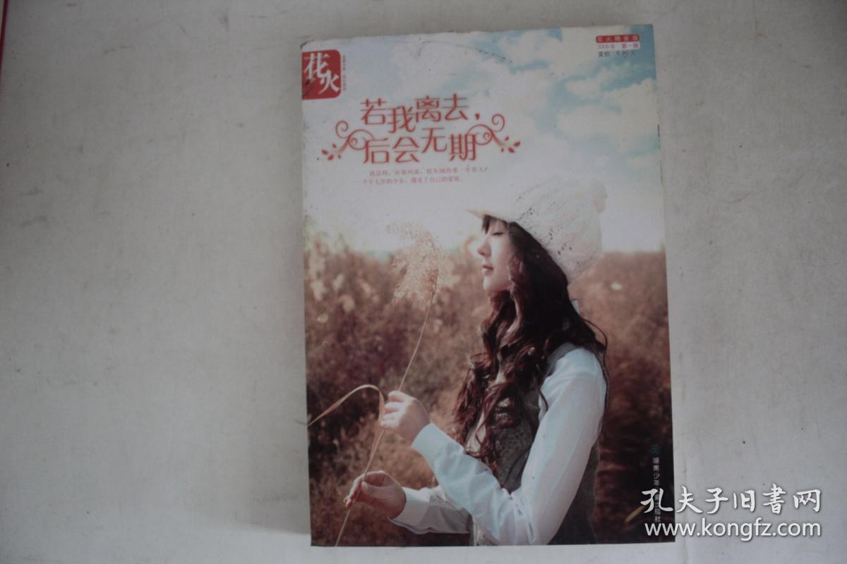 花火系列:若我离去,后会无期