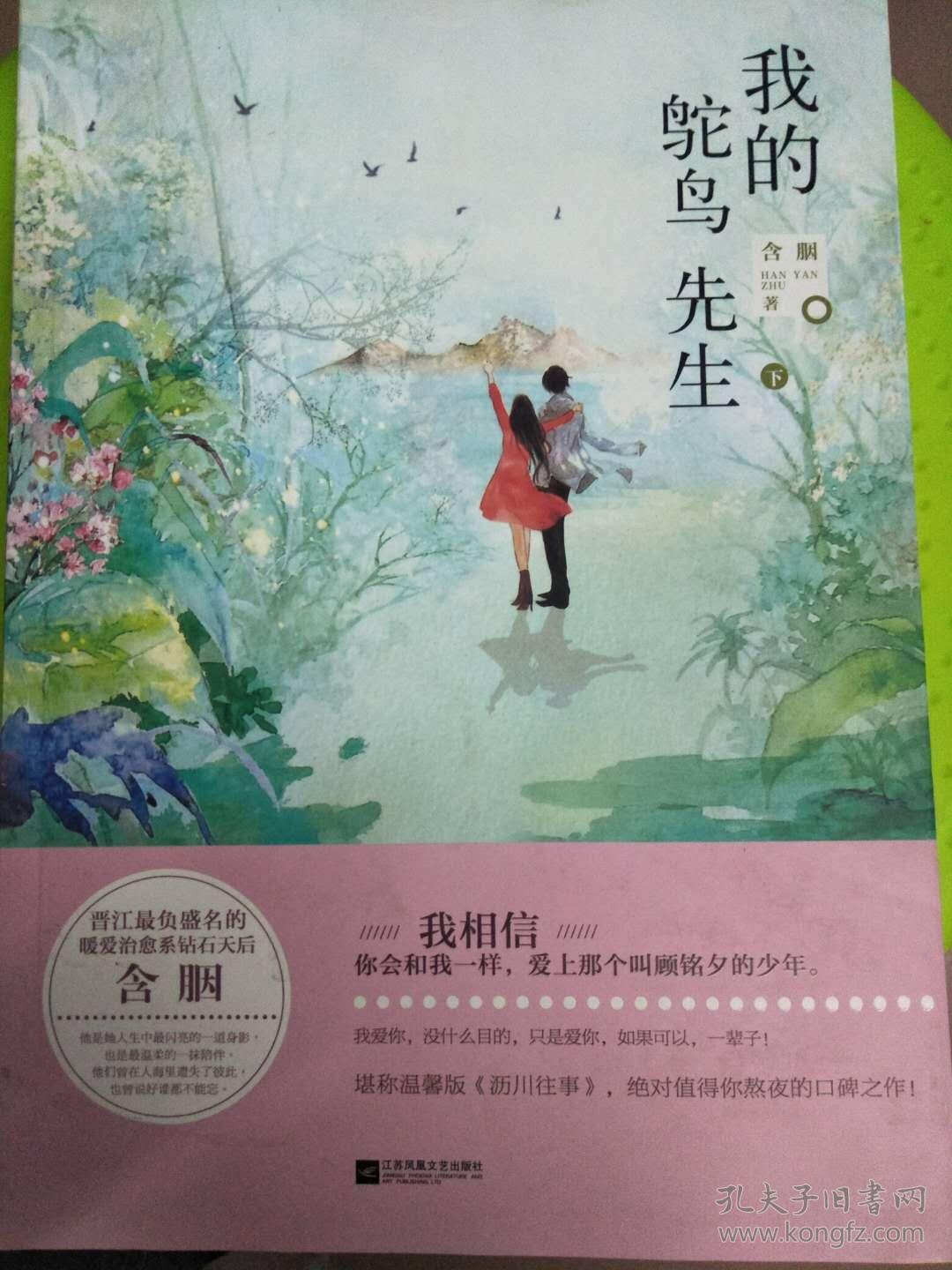 我的鸵鸟先生