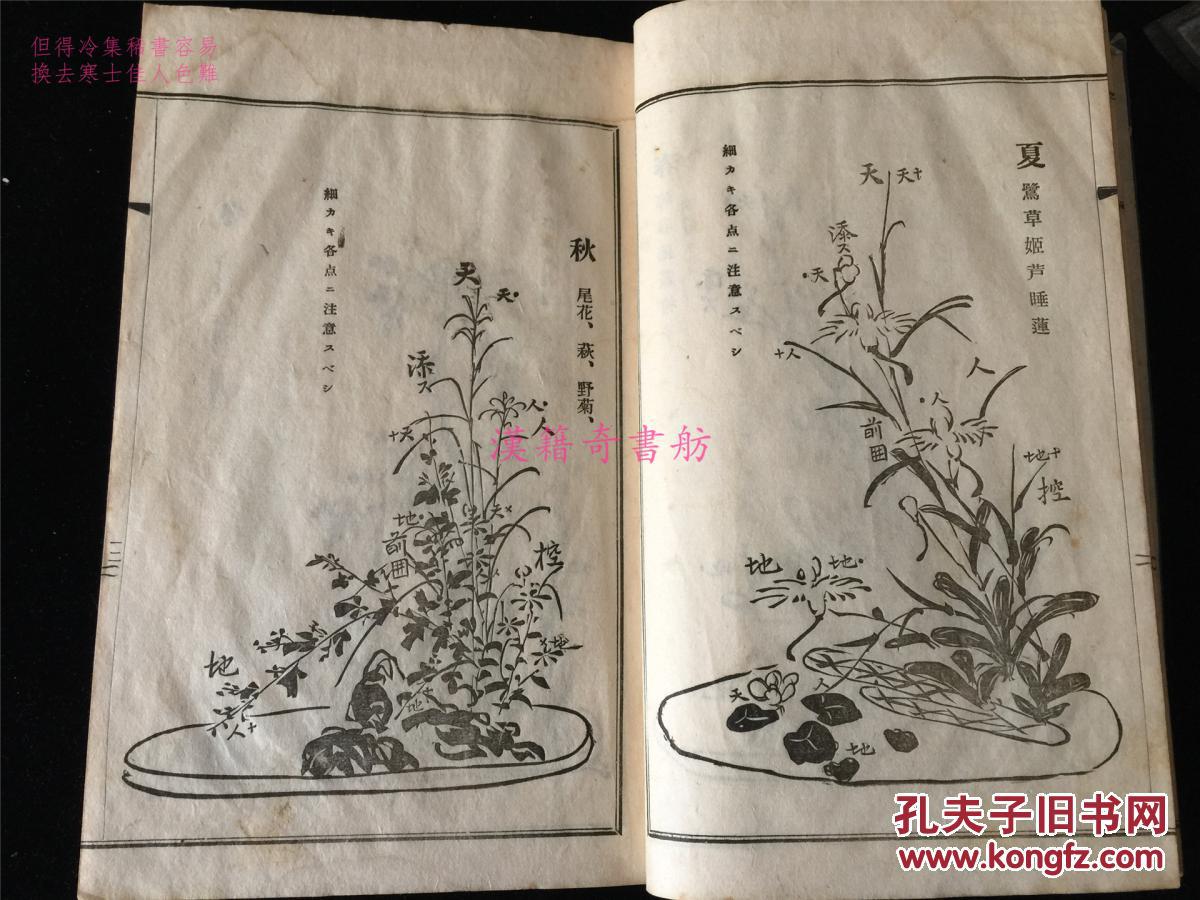 【图】1917年日本插花艺术:《日文书名?》,法