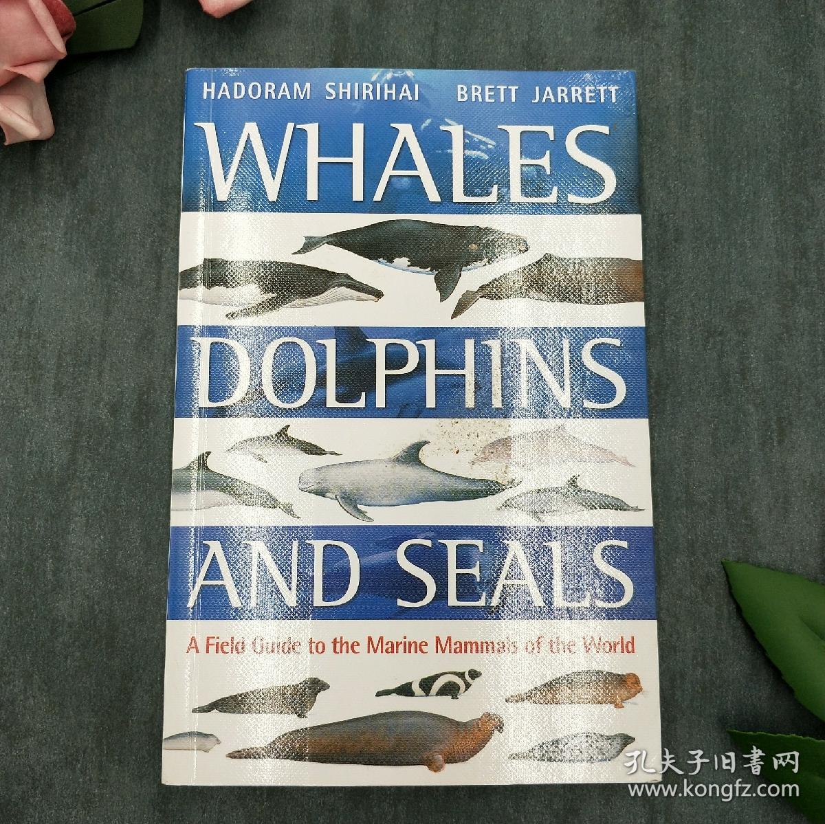 dolphins and seals: a field guide to the marine mammals of the
