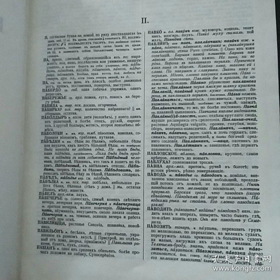 ТОЛКОВЫЙСЛОВАРЪ 大俄罗斯语详介辞典