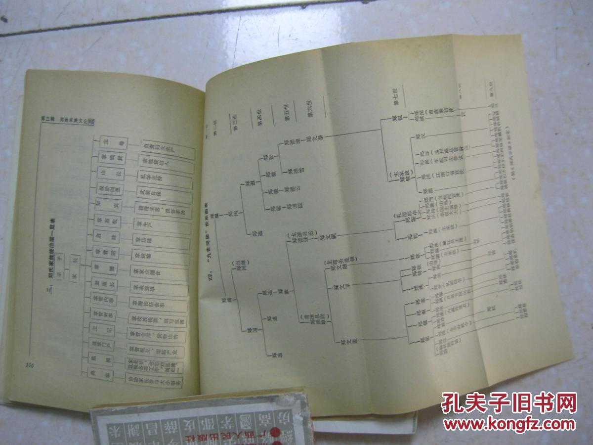 华夏姓氏丛书 郑(详细叙述郑姓渊源考,郑姓演变史,郑姓家族文化,郑姓