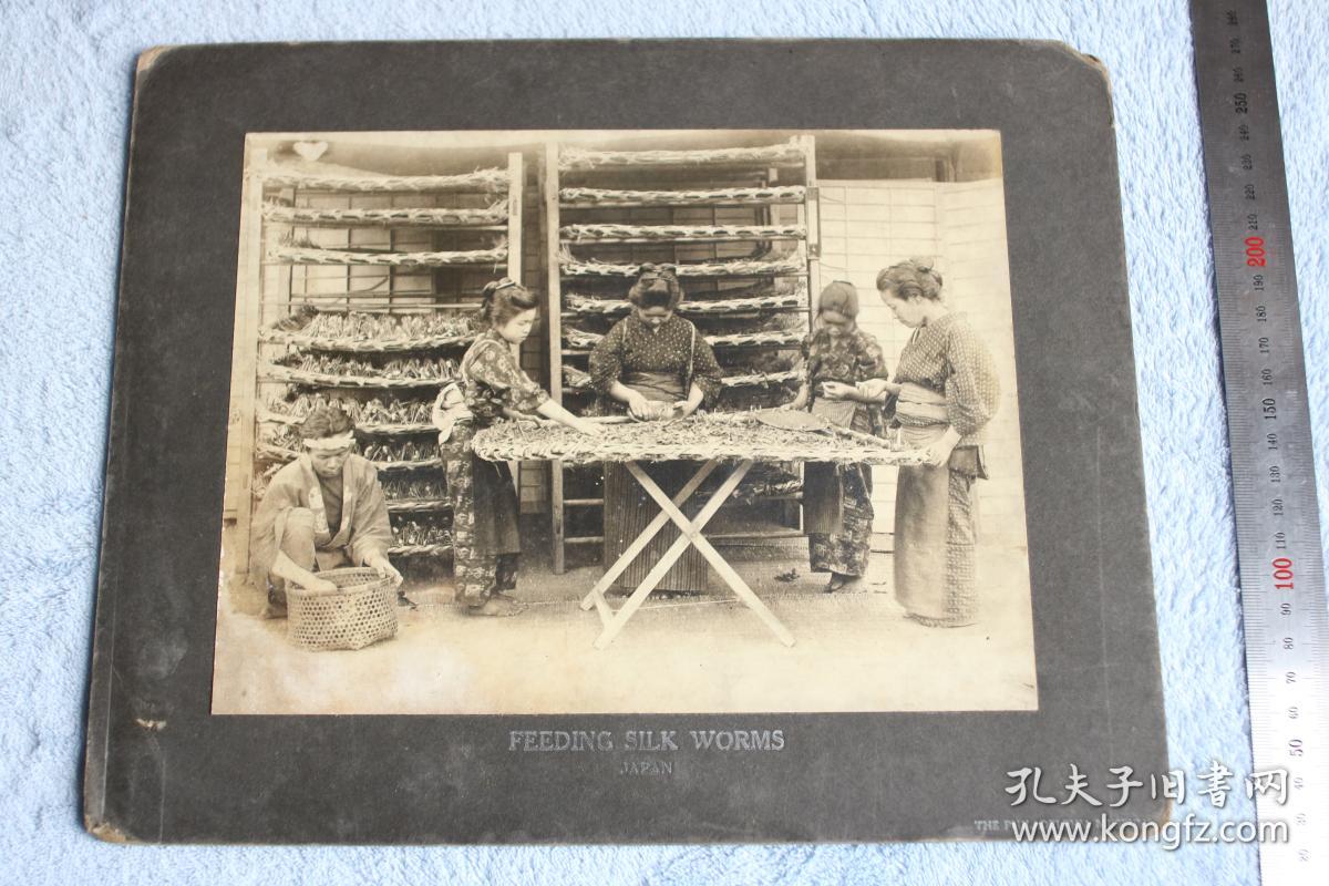 民国时期日本喂桑叶养蚕制作丝绸工艺民俗老照