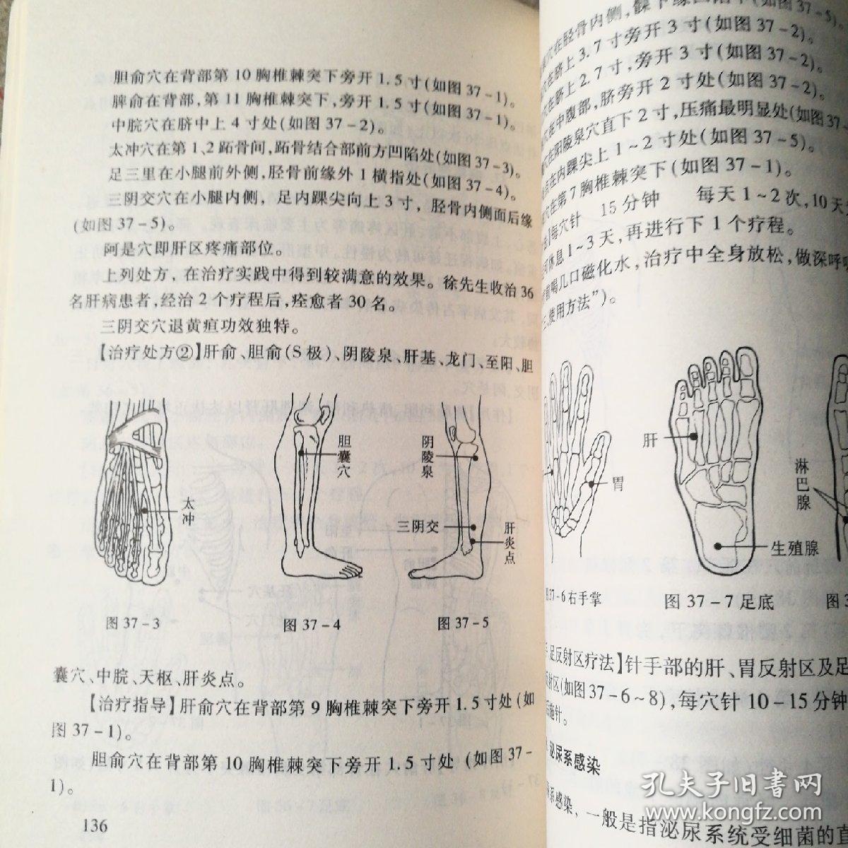 五行磁吸针磁疗针灸学