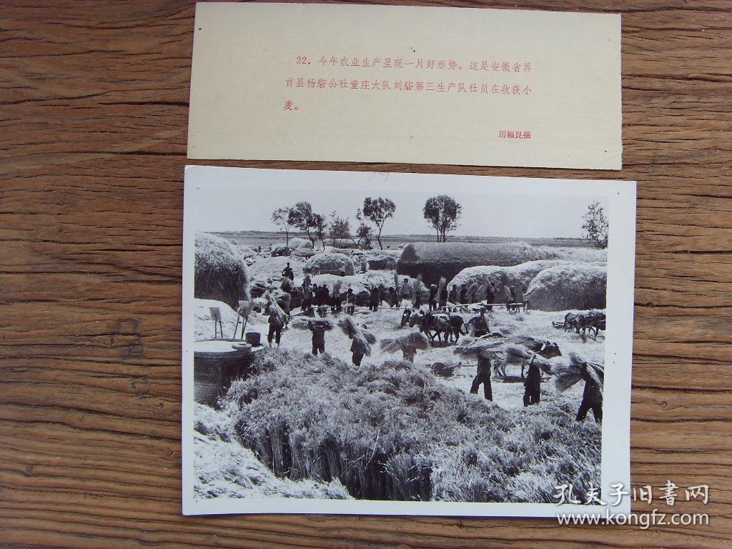 老照片【1965年,安徽工学院汽车60—1全体同学毕业合影】