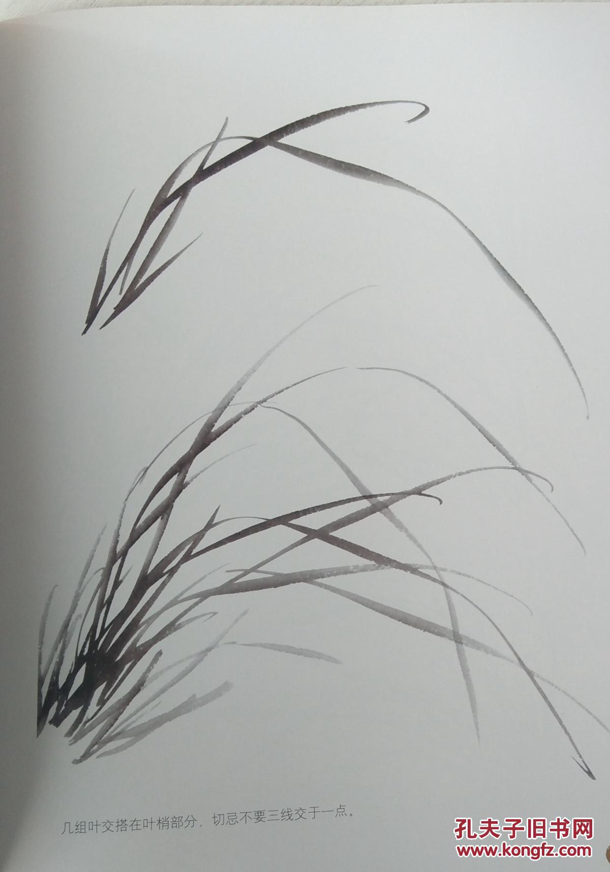 国画入门.兰花