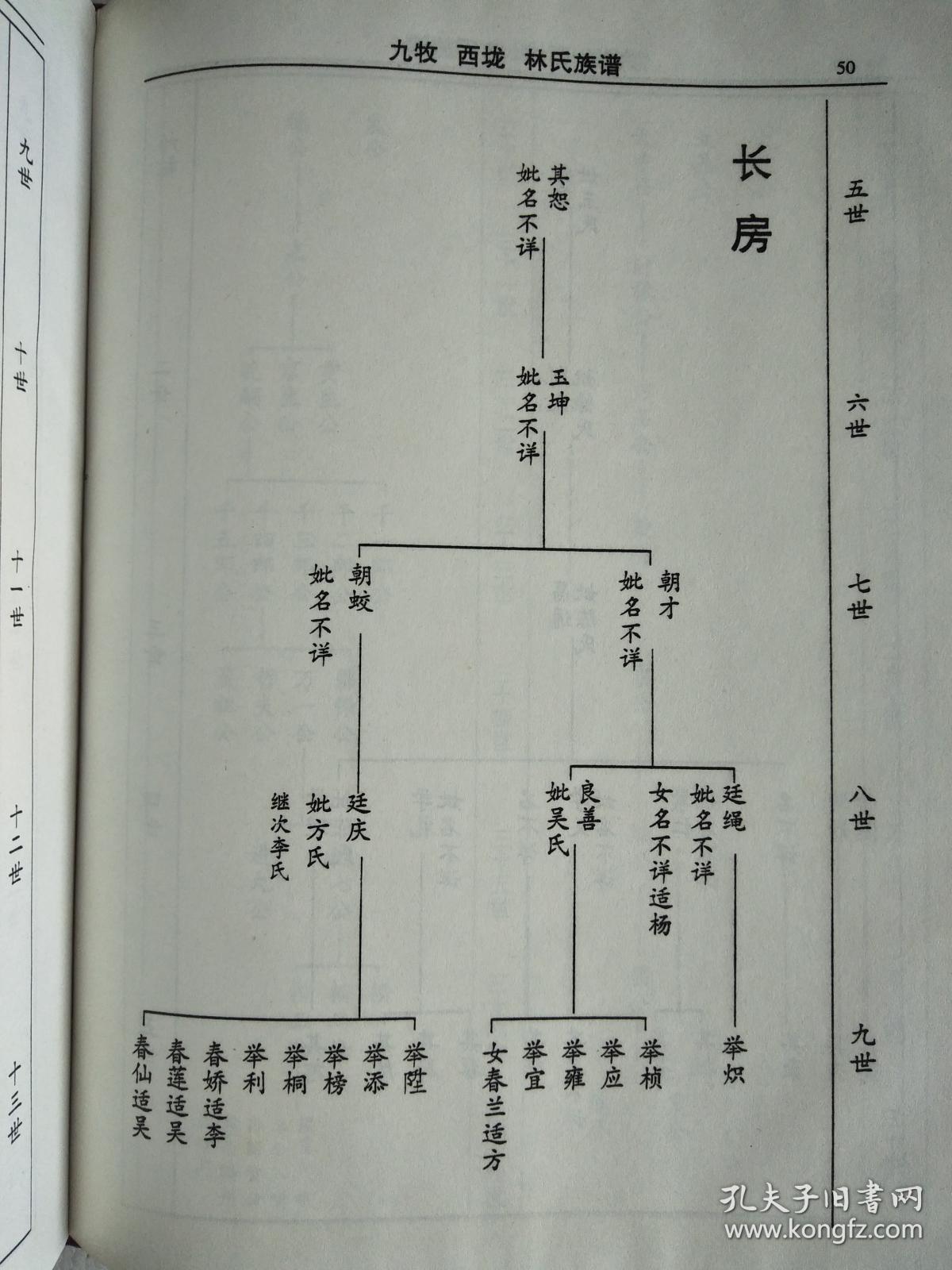 林氏族谱 九牧西垅 兆荣公支 16开 145页 1998年版 复印本